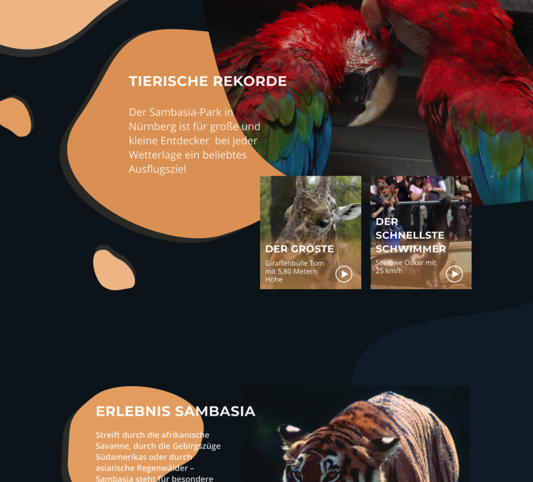 Ein sehen Sie einen Websitescreenshoot zu einem fiktiven Thema.